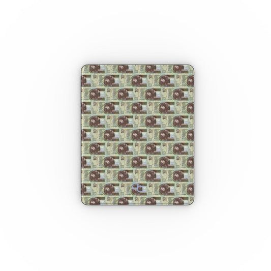 Apple iPad Case