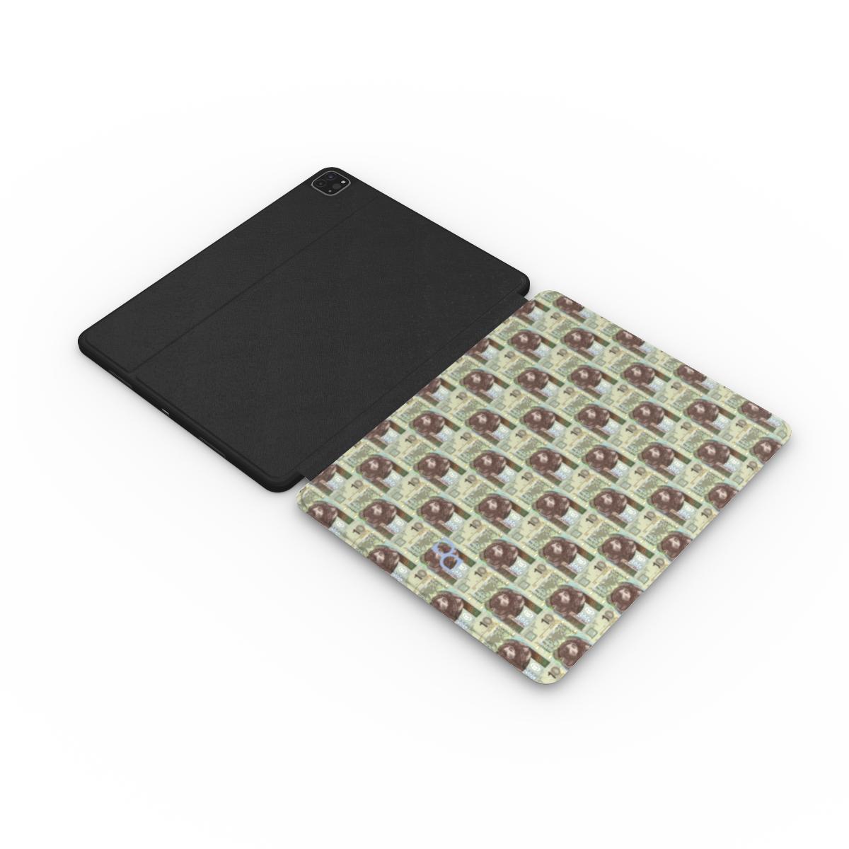 Apple iPad Case