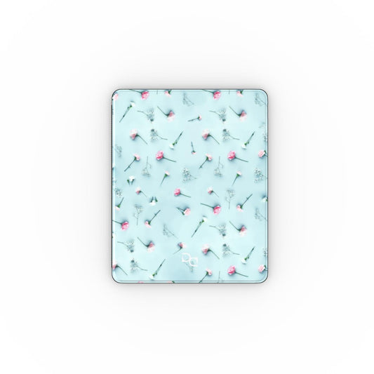 Apple iPad Case