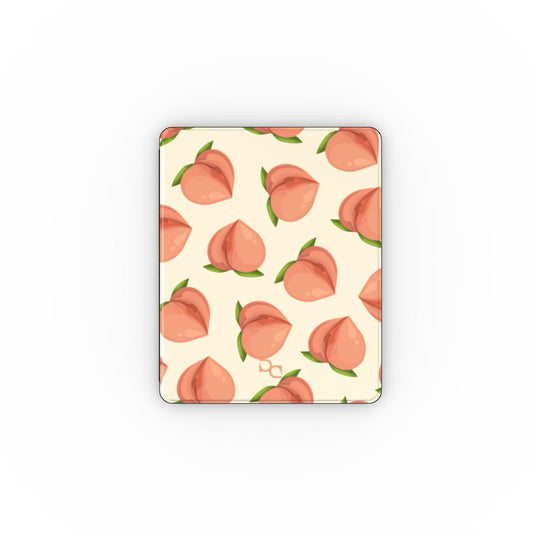 Apple iPad Case