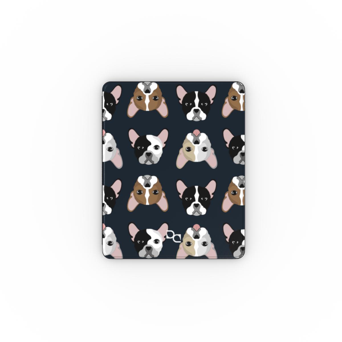 Apple iPad Case