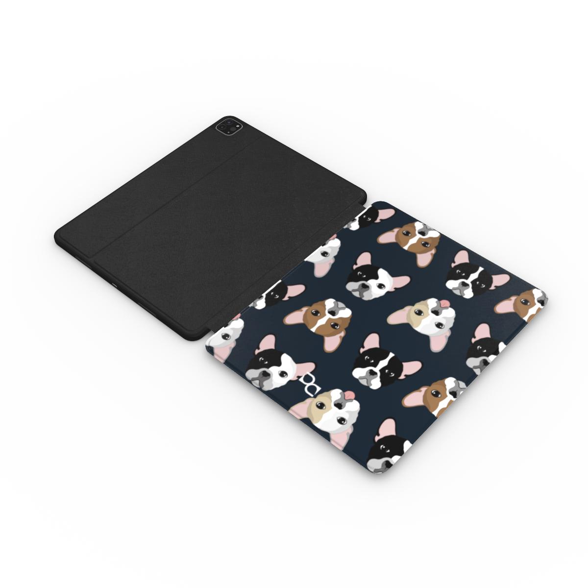 Apple iPad Case