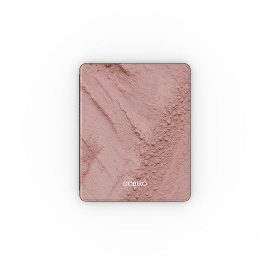 Apple iPad Case